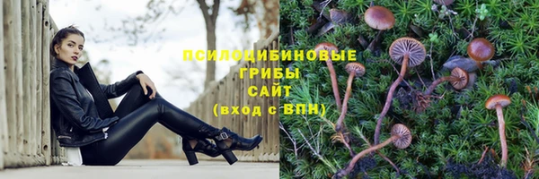 МДПВ Белоозёрский