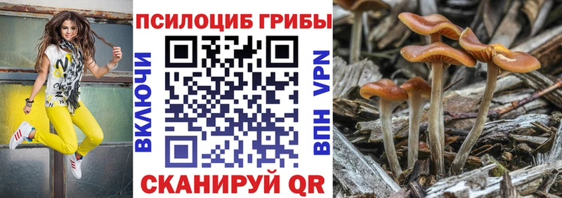 сколько стоит  mega ссылки  Псилоцибиновые грибы Psilocybine cubensis  Невель 